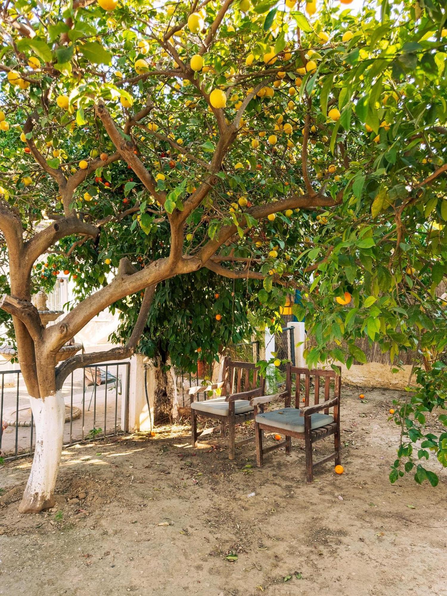 Charming Country House Torremolinos Dış mekan fotoğraf